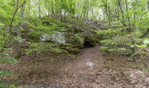 Photo #33 of 3100 Buckhorn, Sanford, NC 759.3 acres