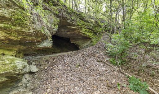 Photo #38 of 3100 Buckhorn, Sanford, NC 759.3 acres