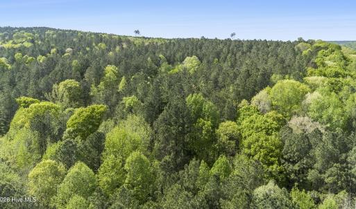 Photo #9 of 3100 Buckhorn, Sanford, NC 759.3 acres