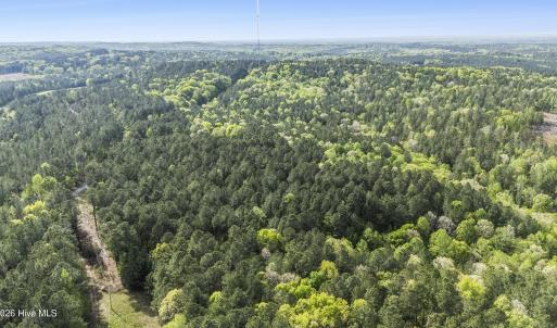 Photo #14 of 3100 Buckhorn, Sanford, NC 759.3 acres