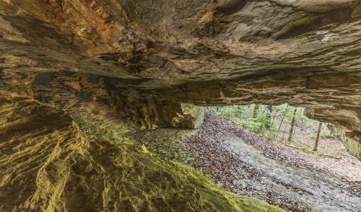 Photo #37 of 3100 Buckhorn, Sanford, NC 759.3 acres