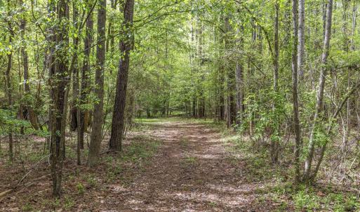 Photo #32 of 3100 Buckhorn, Sanford, NC 759.3 acres