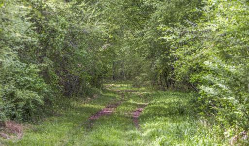 Photo #25 of 3100 Buckhorn, Sanford, NC 759.3 acres