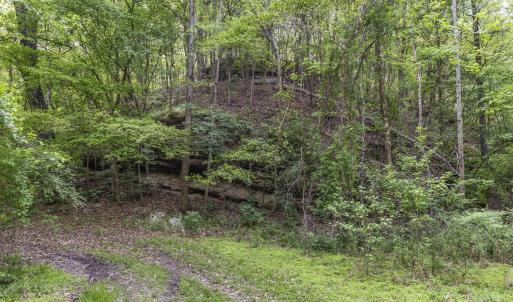 Photo #28 of 3100 Buckhorn, Sanford, NC 759.3 acres