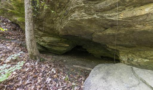 Photo #30 of 3100 Buckhorn, Sanford, NC 759.3 acres