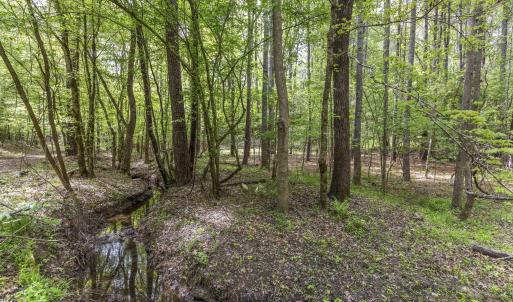 Photo #41 of 3100 Buckhorn, Sanford, NC 759.3 acres