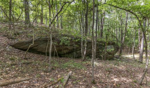 Photo #43 of 3100 Buckhorn, Sanford, NC 759.3 acres