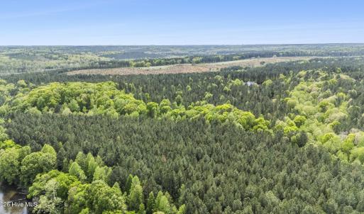 Photo #3 of 3100 Buckhorn, Sanford, NC 759.3 acres