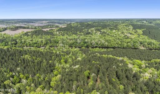 Photo #15 of 3100 Buckhorn, Sanford, NC 759.3 acres