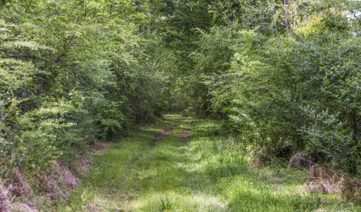 Photo #26 of 3100 Buckhorn, Sanford, NC 759.3 acres