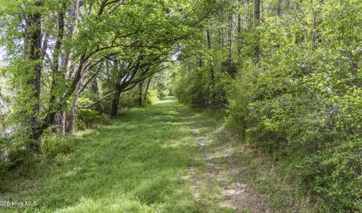 Photo #4 of 3100 Buckhorn, Sanford, NC 759.3 acres