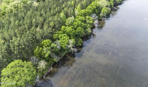 Photo #5 of 3100 Buckhorn, Sanford, NC 759.3 acres