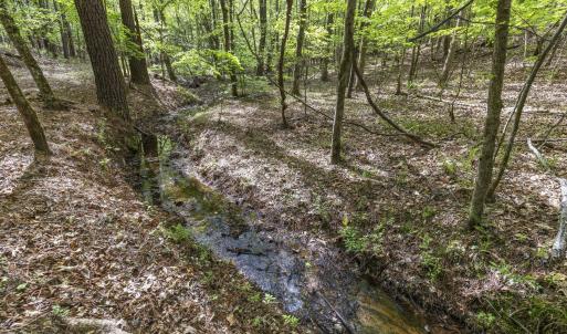 Photo #42 of 3100 Buckhorn, Sanford, NC 759.3 acres