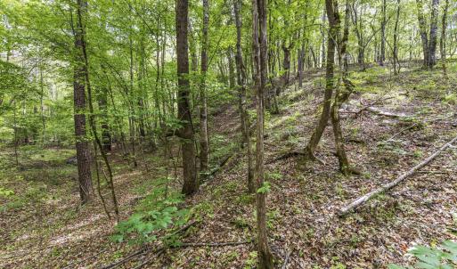 Photo #40 of 3100 Buckhorn, Sanford, NC 759.3 acres