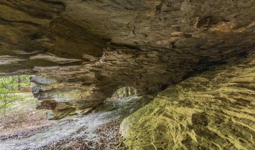 Photo #35 of 3100 Buckhorn, Sanford, NC 759.3 acres