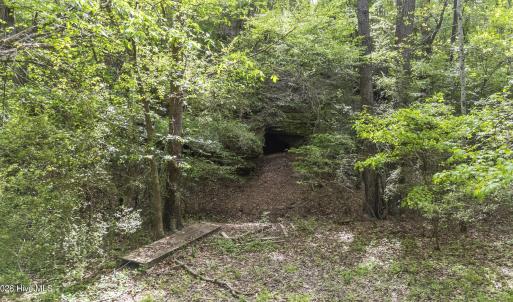 Photo #8 of 3100 Buckhorn, Sanford, NC 759.3 acres
