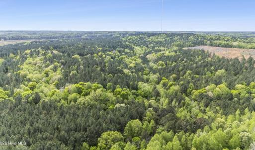 Photo #2 of 3100 Buckhorn, Sanford, NC 759.3 acres