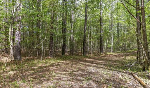 Photo #39 of 3100 Buckhorn, Sanford, NC 759.3 acres