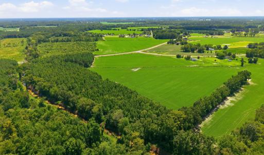 Photo #8 of 1175 Laurie Ellis, Winterville, NC 41.2 acres