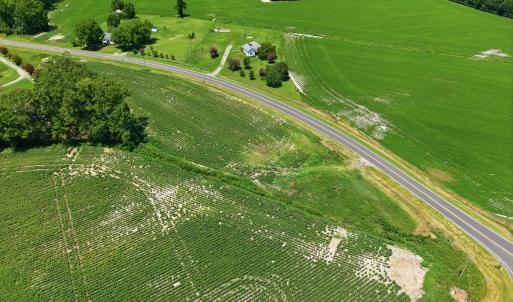 Photo #4 of 1175 Laurie Ellis, Winterville, NC 41.2 acres