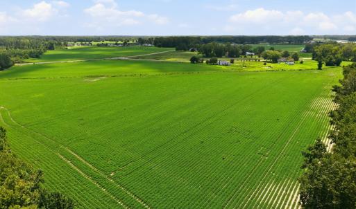Photo #15 of 1175 Laurie Ellis, Winterville, NC 41.2 acres