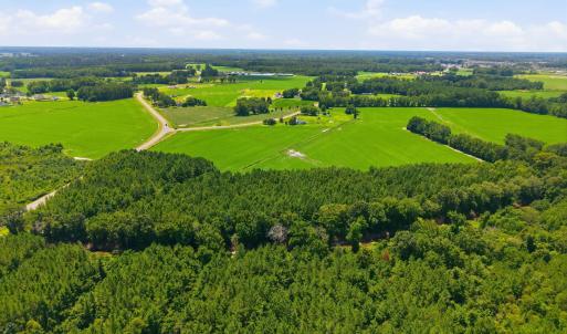 Photo #7 of 1175 Laurie Ellis, Winterville, NC 41.2 acres