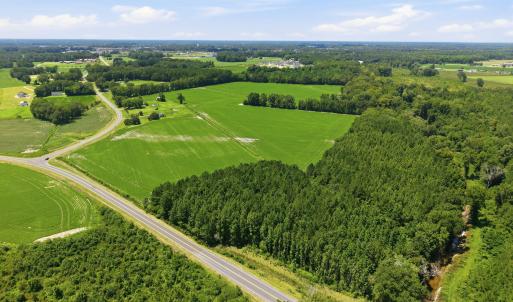 Photo #6 of 1175 Laurie Ellis, Winterville, NC 41.2 acres