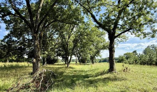Photo #4 of Tbd Roberdel School, Rockingham, NC 129.8 acres