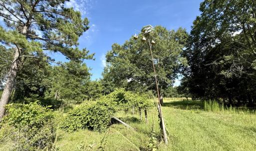 Photo #11 of Tbd Roberdel School, Rockingham, NC 129.8 acres