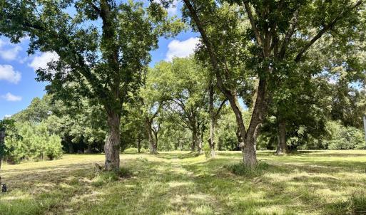 Photo #1 of Tbd Roberdel School, Rockingham, NC 129.8 acres