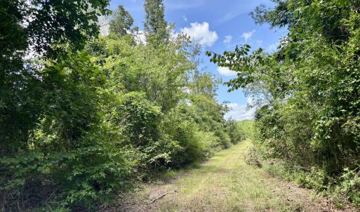 Photo #9 of Tbd Roberdel School, Rockingham, NC 129.8 acres