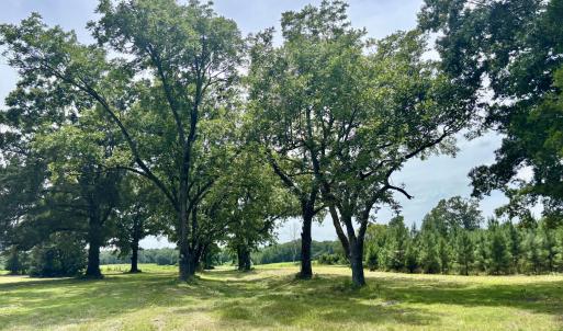 Photo #15 of Tbd Roberdel School, Rockingham, NC 129.8 acres