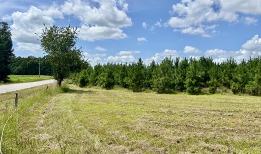 Photo #17 of Tbd Roberdel School, Rockingham, NC 129.8 acres