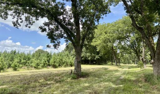 Photo #8 of Tbd Roberdel School, Rockingham, NC 129.8 acres
