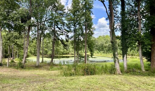 Photo #5 of Tbd Roberdel School, Rockingham, NC 129.8 acres