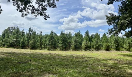 Photo #18 of Tbd Roberdel School, Rockingham, NC 129.8 acres