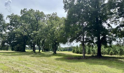 Photo #14 of Tbd Roberdel School, Rockingham, NC 129.8 acres