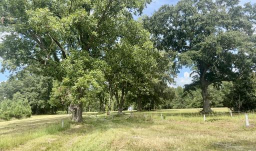 Photo #7 of Tbd Roberdel School, Rockingham, NC 129.8 acres