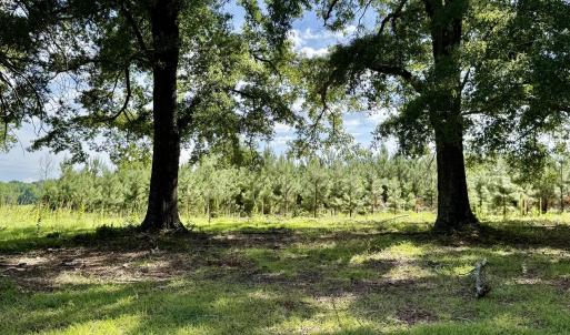 Photo #14 of Tbd Roberdel School, Rockingham, NC 59.0 acres