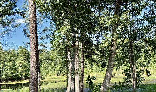 Photo #7 of Tbd Roberdel School, Rockingham, NC 59.0 acres