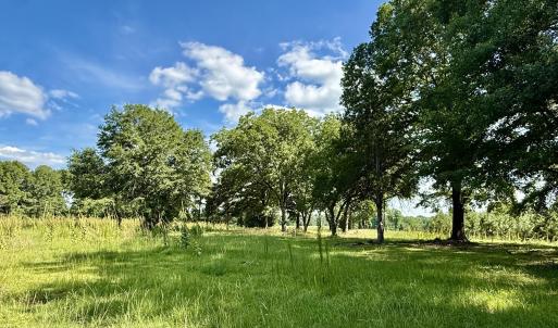 Photo #12 of Tbd Roberdel School, Rockingham, NC 59.0 acres