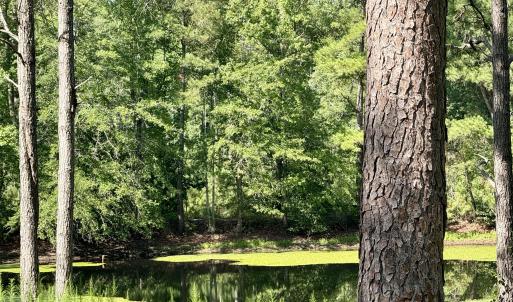 Photo #5 of Tbd Roberdel School, Rockingham, NC 59.0 acres