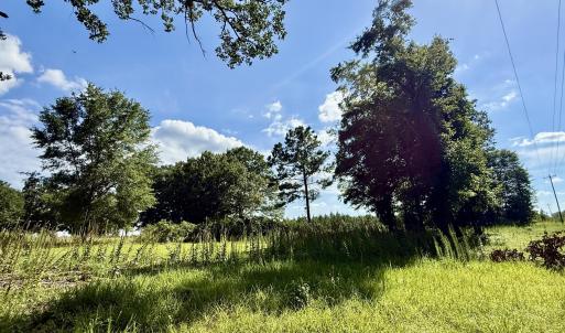 Photo #13 of Tbd Roberdel School, Rockingham, NC 59.0 acres