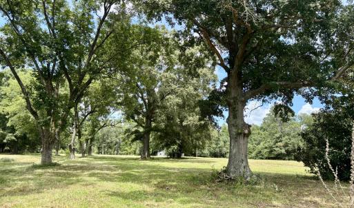 Photo #3 of Tbd Roberdel School, Rockingham, NC 59.0 acres