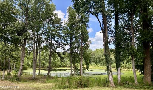 Photo #5 of Tbd Roberdel School, Rockingham, NC 59.0 acres