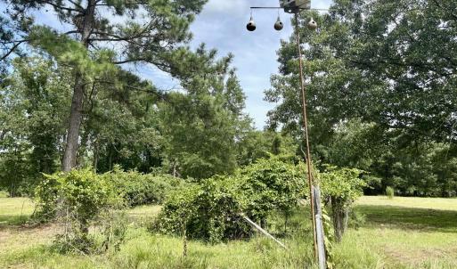 Photo #6 of Tbd Roberdel School, Rockingham, NC 59.0 acres