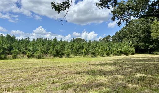 Photo #4 of Tbd Roberdel School, Rockingham, NC 70.0 acres