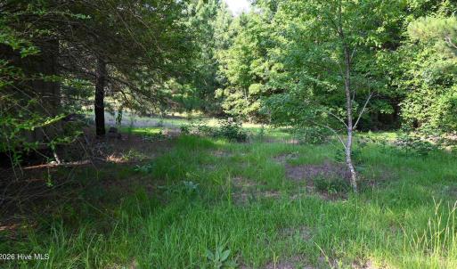 Photo #6 of 84 Jo62, Rockingham, NC 2.3 acres