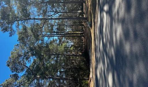 Photo #1 of 137 Eagle, Supply, NC 0.4 acres