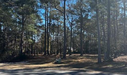 Photo #2 of 137 Eagle, Supply, NC 0.4 acres